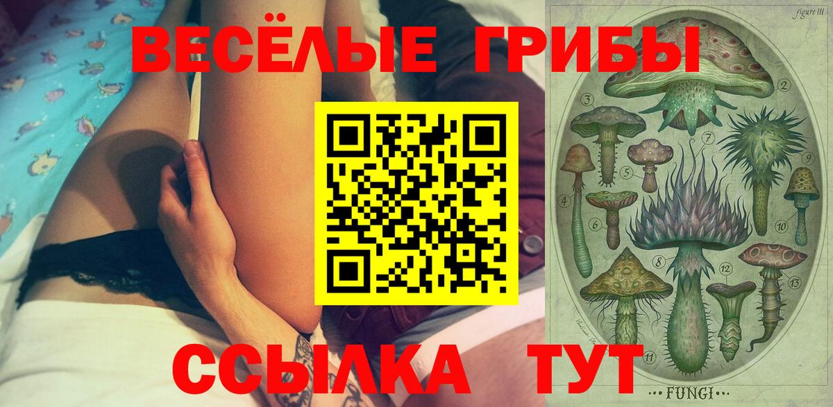 Тобольск  Галлюциногенные грибы Cubensis  Вход с VPN 